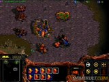 StarCraft : Brood War - Ruches Zerg