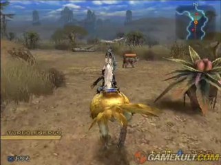 Final Fantasy XII - Promenade en chocobo