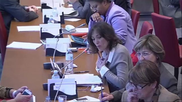 Audition de M. Daniel Lenoir, dg de la Caisse nationale des allocations familiales (CNAF) - Mercredi 8 Janvier 2014