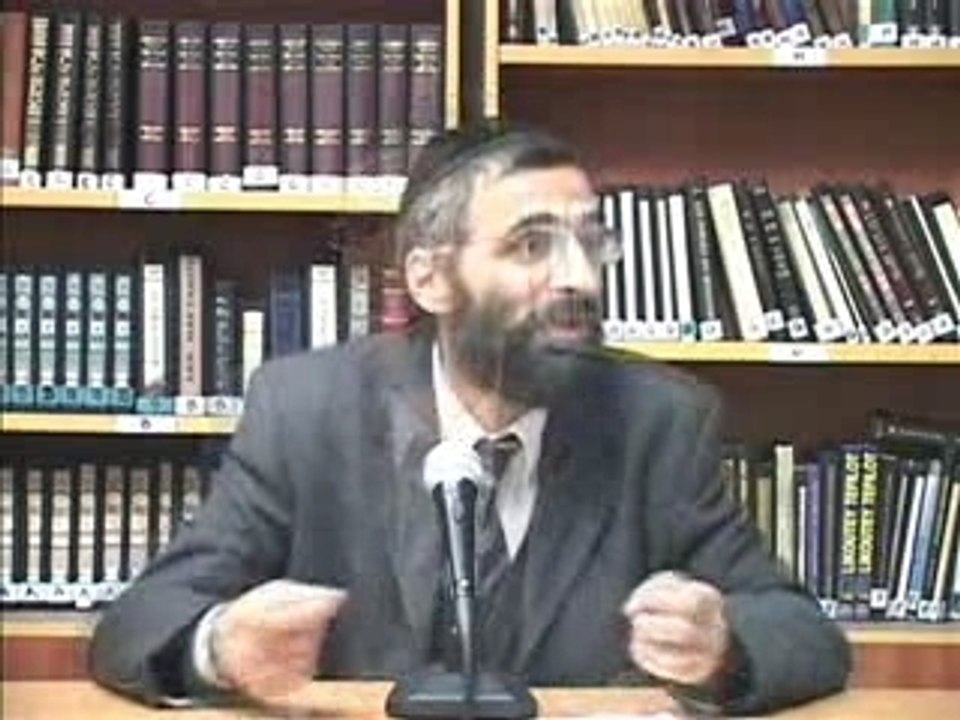 Le Gaon-de-Vilna (rav-Ron-CHAYA)