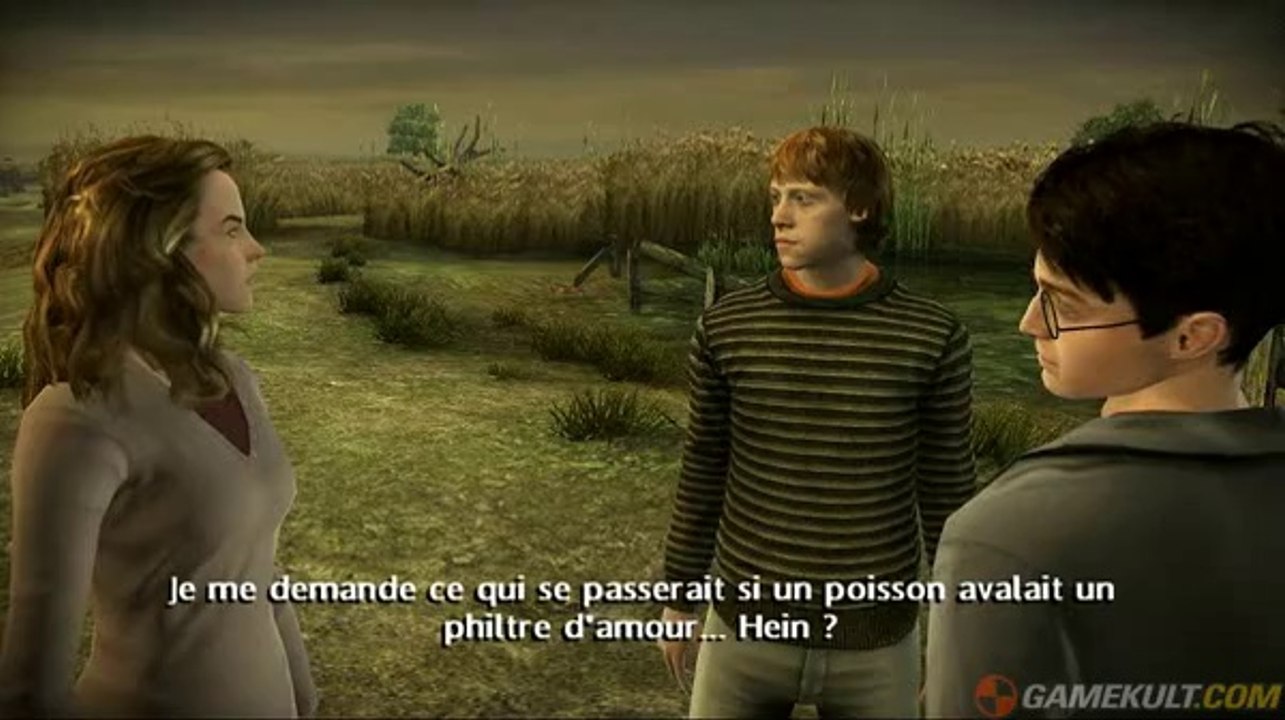 Harry Potter et le Prince de sang mêlé - Deux ou trois coups de baguette, ou presque