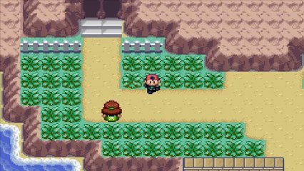 Let's Play: Pokemon Altair : Allons dans la forêt !!!