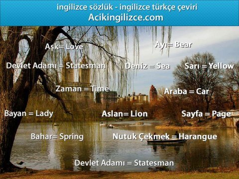 İngilizce Türkçe Çeviri Meyveler