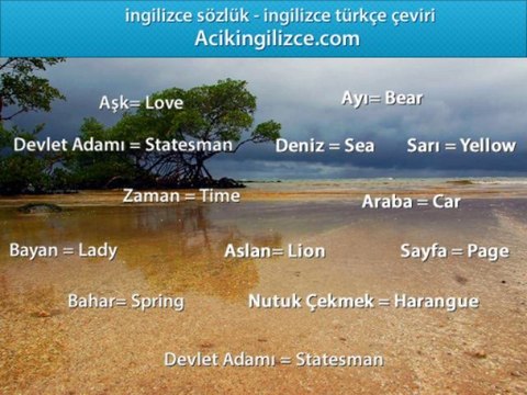 İngilizce Türkçe Çeviri Düzgün