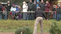 Verrücktes aus der Pfalz: Weihnachtsbäume fliegen um die Wette