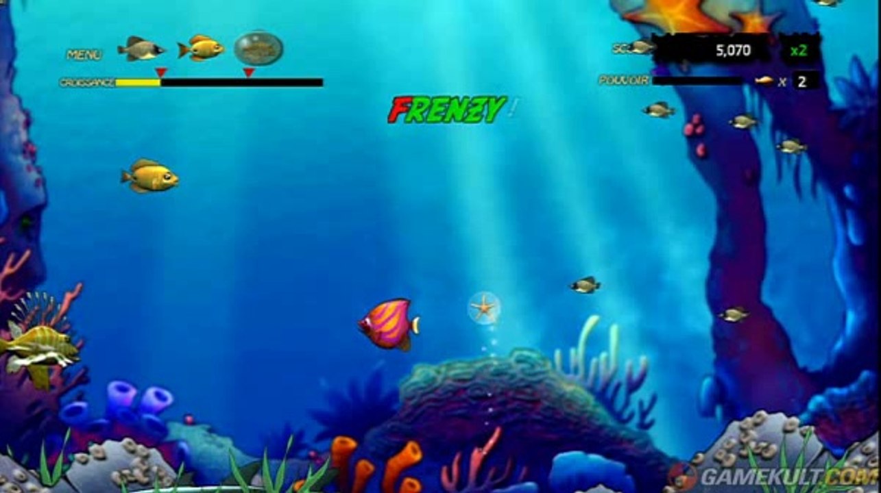 Feeding Frenzy Video Petit Poisson Deviendra Grand Gamekult