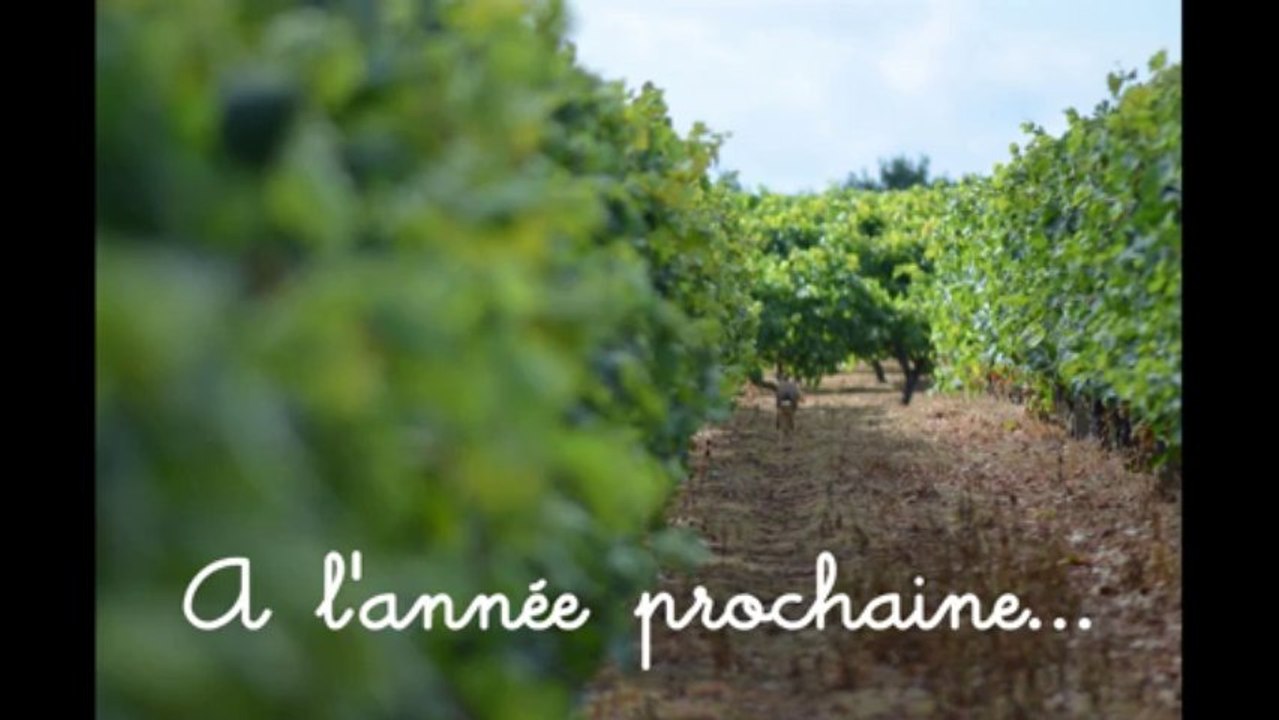 Fermeture du lièvre 2013