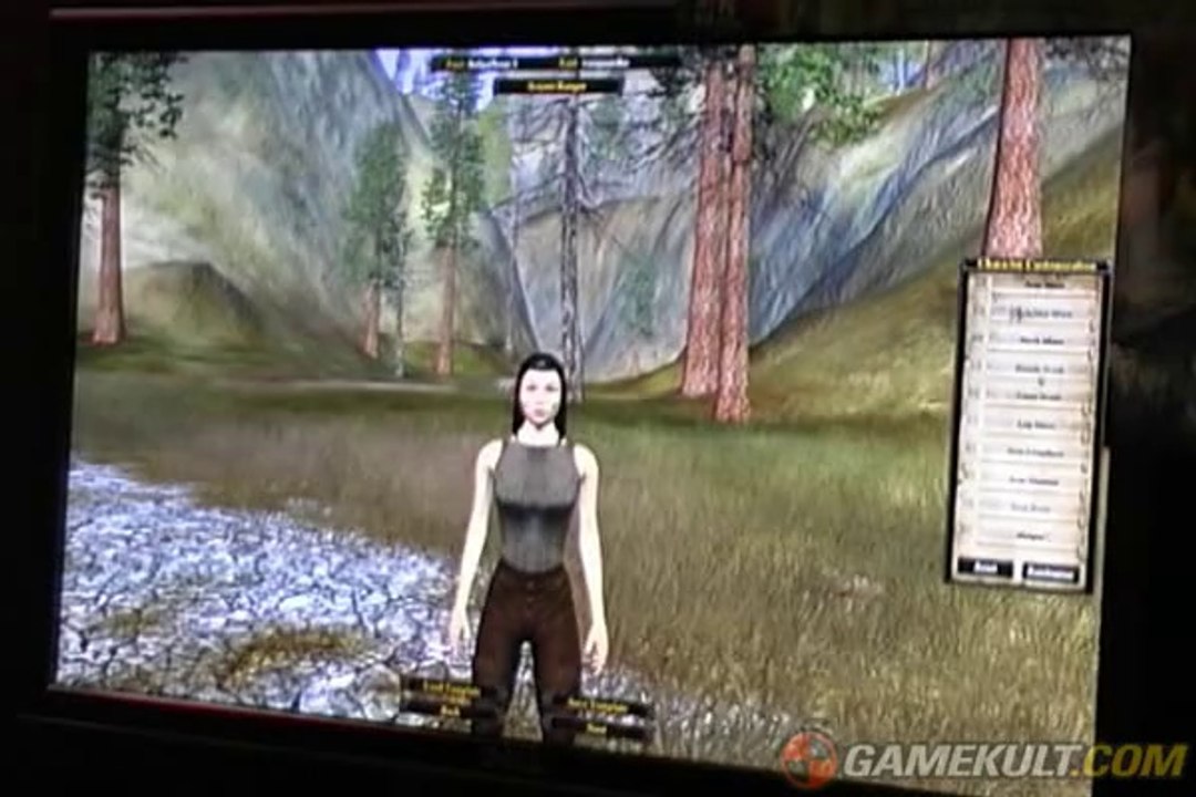 Vanguard : Saga of Heroes - Gameplay de l'E3 2006