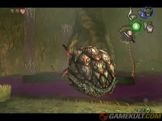 The Legend of Zelda : Twilight Princess - La plante