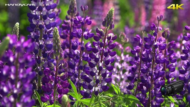 First Look: Sony 4K Handycam AX100 (CES 2014) - SoldierKnowsBest