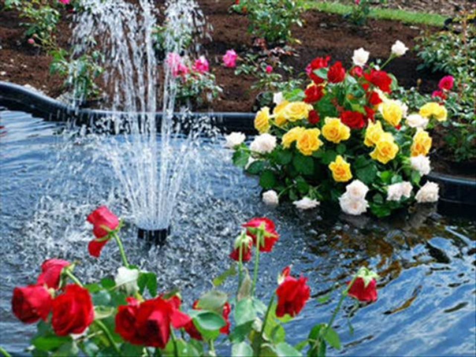 Rios de amor