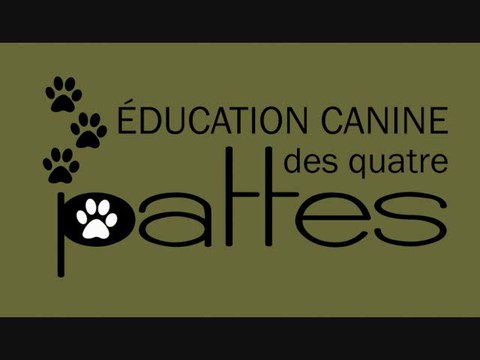 Éducateur canin: Des résolutions pour votre chien en 2014!