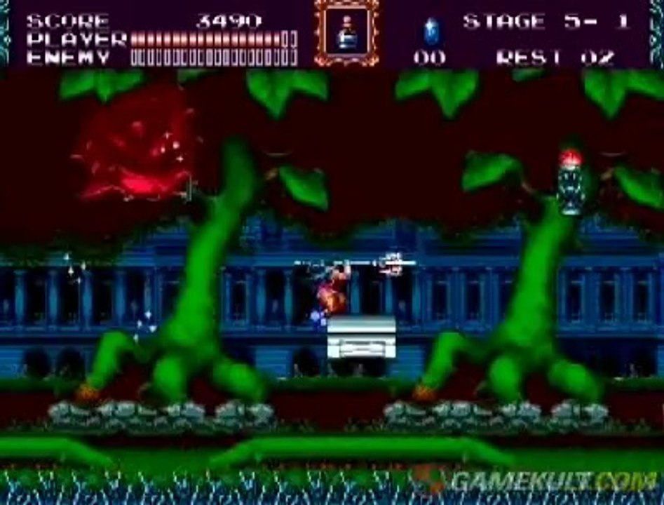 Castlevania : The New Generation - Reflet
