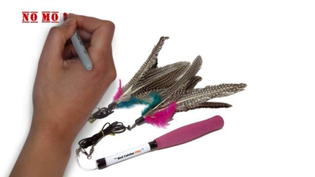 Bird Catcher PRO EX: The Extendable Cat Toy Feather Wand Similar To Da Bird Go Cat Toys
