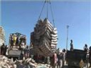 الأهمية الاقتصادية لميناء بوصاصو الصومالي