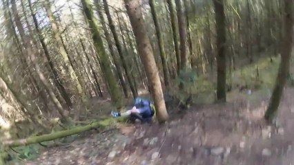 Mountain Biking Trail Crash