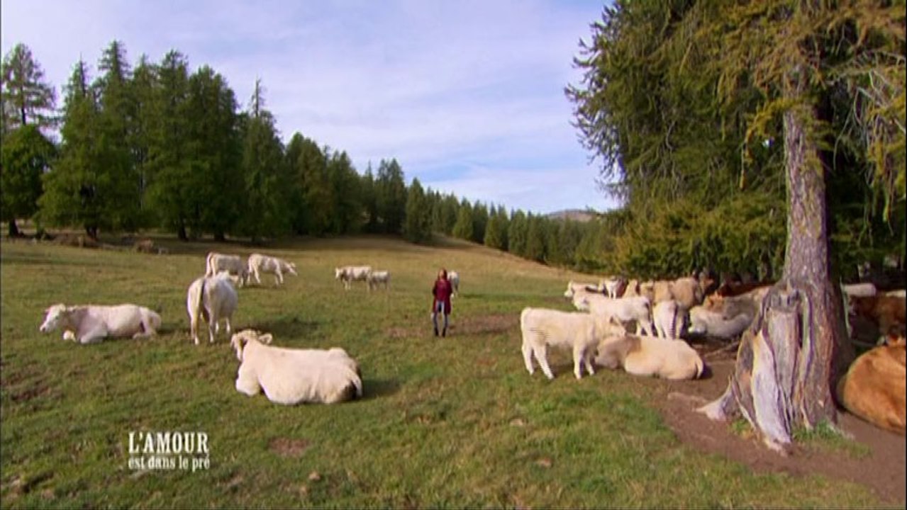 lamourestdansle__Lamour-est-dans-le-pre-saison-9