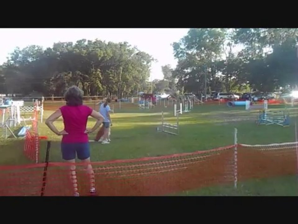 CPE TDHD Agility Trial 05/24/2013