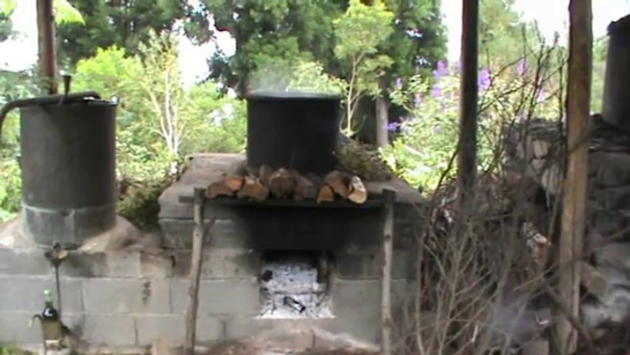 La maison du géranium
