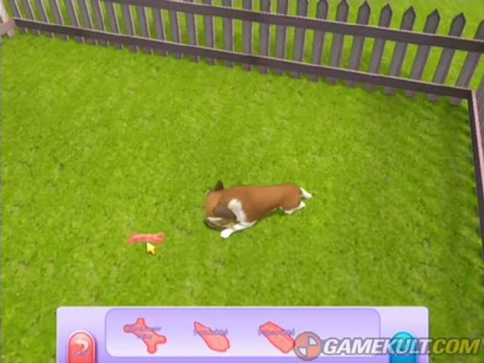 30 millions d'amis : Mon refuge pour Animaux - Bon chien ! Bon chien !