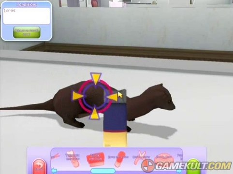 30 millions d'amis : Mon refuge pour Animaux - Le furet a des puces