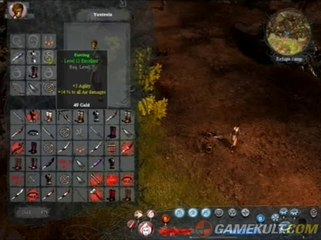 Silverfall - Dans les marécages