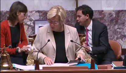 QUESTIONS ORALES SANS DEBAT - Mardi 25 Juin 2013