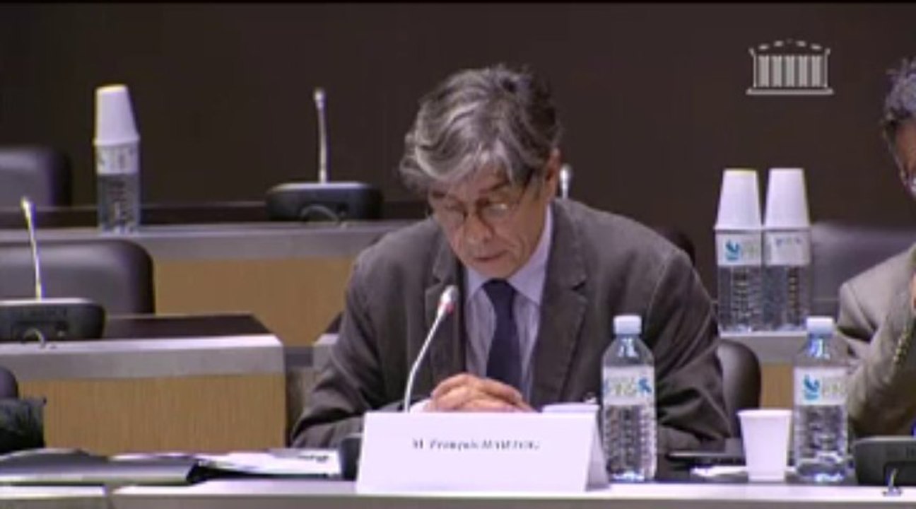 Table ronde sur l'avenir de l'Union européenne - Mercredi 19 Juin 2013