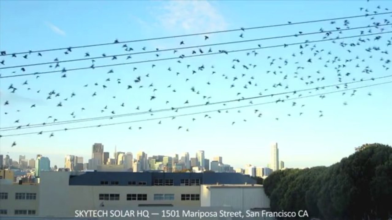 Solar Power energy Benefits Everyone