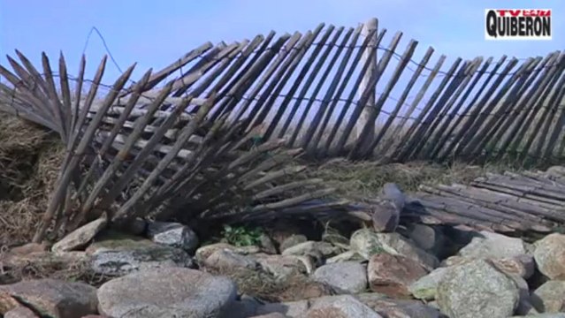 Quiberon | Tempête Dégats Pointe du Conguel | TV Quiberon 24/7