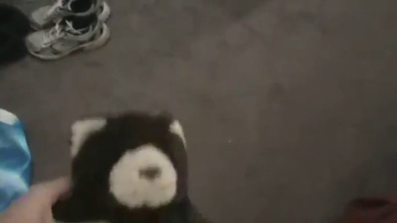 How To Throw a Teddie Bear