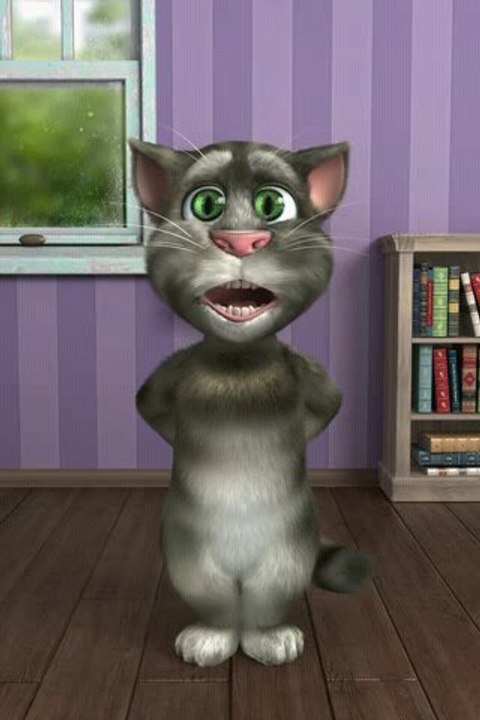 Tatti - Funny Tom Cat
