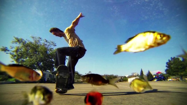Fisheye Skateboard
