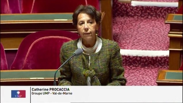 Privatisation du Château de Vincennes : La politique d’exploitation du patrimoine national passe-t-elle par sa mise à disposition pour des événements privés?