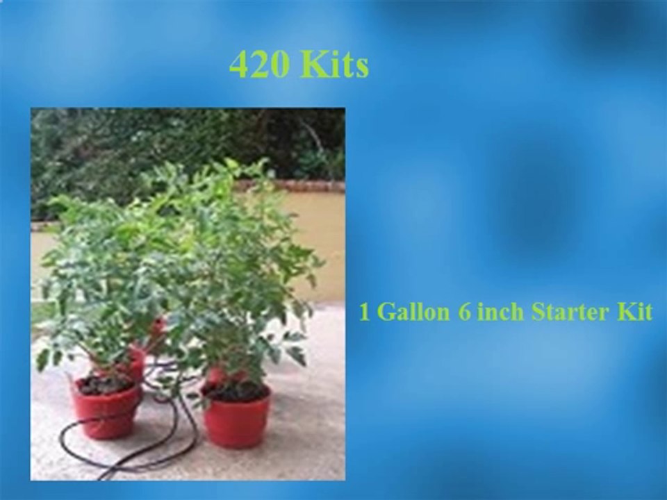 Hydroponic Growing System