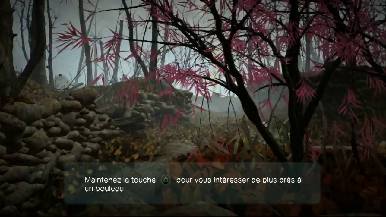 Datura - Soluce - Intro