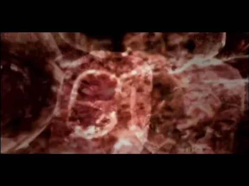 Resident Evil Zero - Trailer US