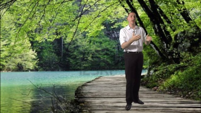 Investissement bois et forêt