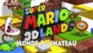 Super Mario 3D Land - Pièces Étoilées - Monde 1