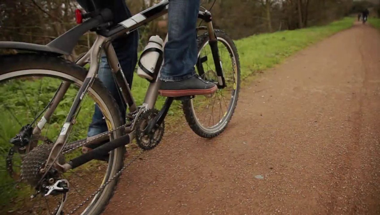Le Marais Poitevin... à vélo !