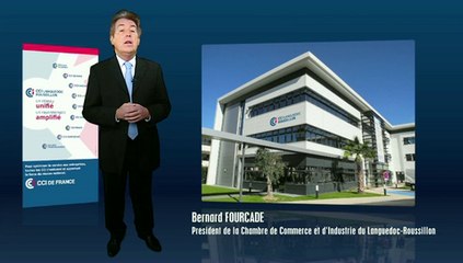 Les voeux 2014 de M. Bernard Fourcade, président de la CCI Languedoc-Roussillon