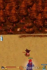 Dragon Ball : Origins 2 - Silver mais pas mousquetaire