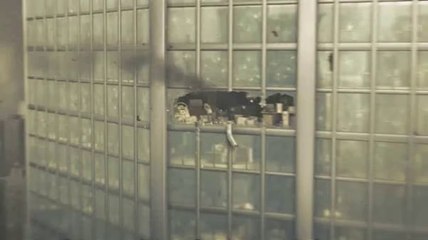 Kane & Lynch 2 : Dog Days - Burning building 2