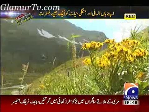 Crime Show Geo FIR Latest Full Episode On Geo News 8 January 2014 Full Show in High Quality Video By GlamurTv