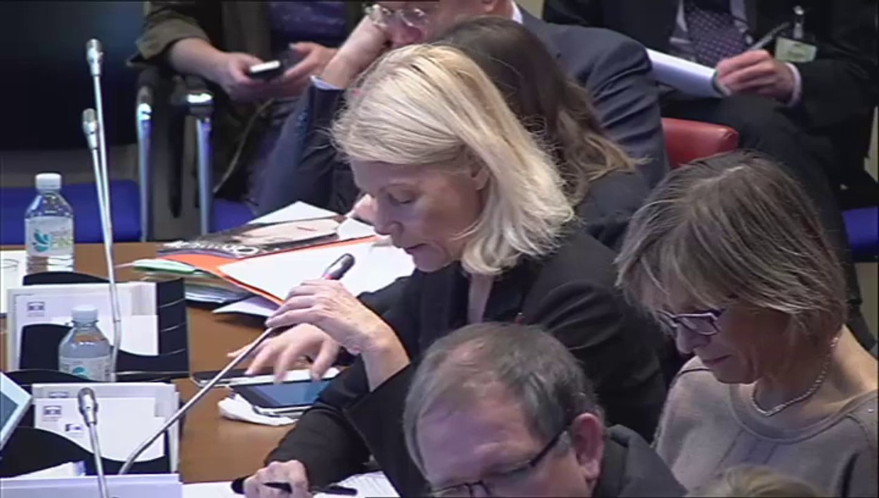 Intervention en Commission des Affaires Sociales sur l'audition de M. Dominique Giorgi, président du comité économique des produits de santé.