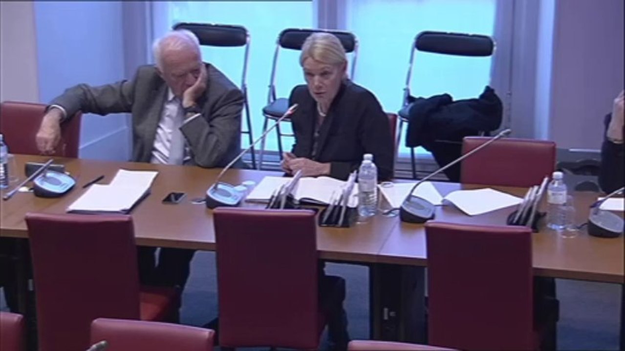 Intervention en Commission des Affaires Sociales concernan Samu-Urgences