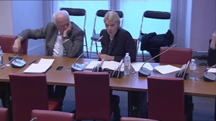 Intervention en Commission des Affaires Sociales concernan Samu-Urgences