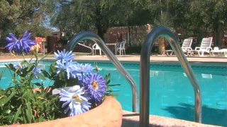 Tucson RV Parks Resorts Of Distinction