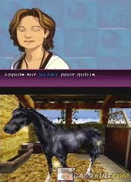 Horse Life 2 : Aventures autour du monde - Petit coup de brosse