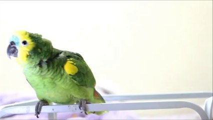 الفيلم الخاص بي